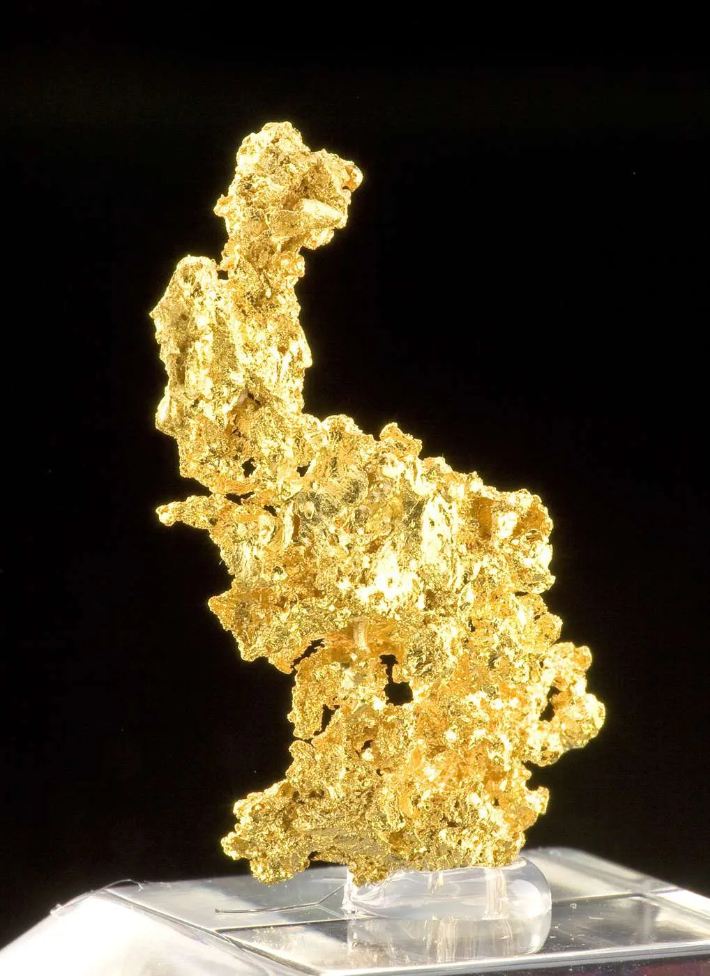 Gold - image 2