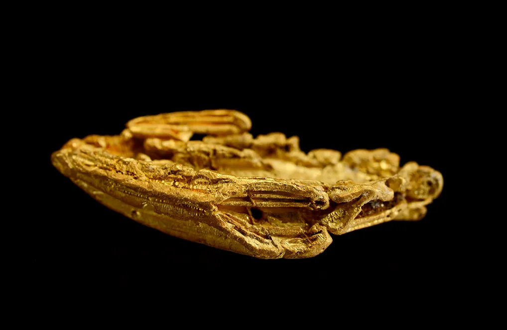 Gold - image 3