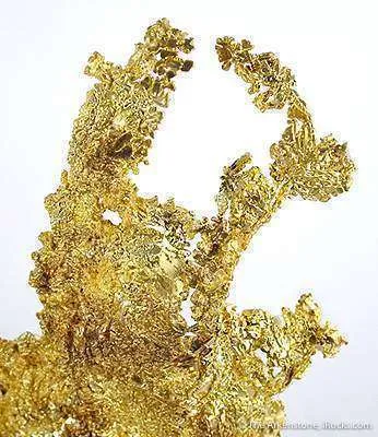 Gold - image 3