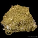 Gold - image 3