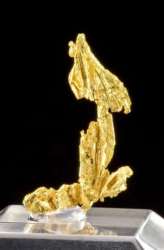 Gold image