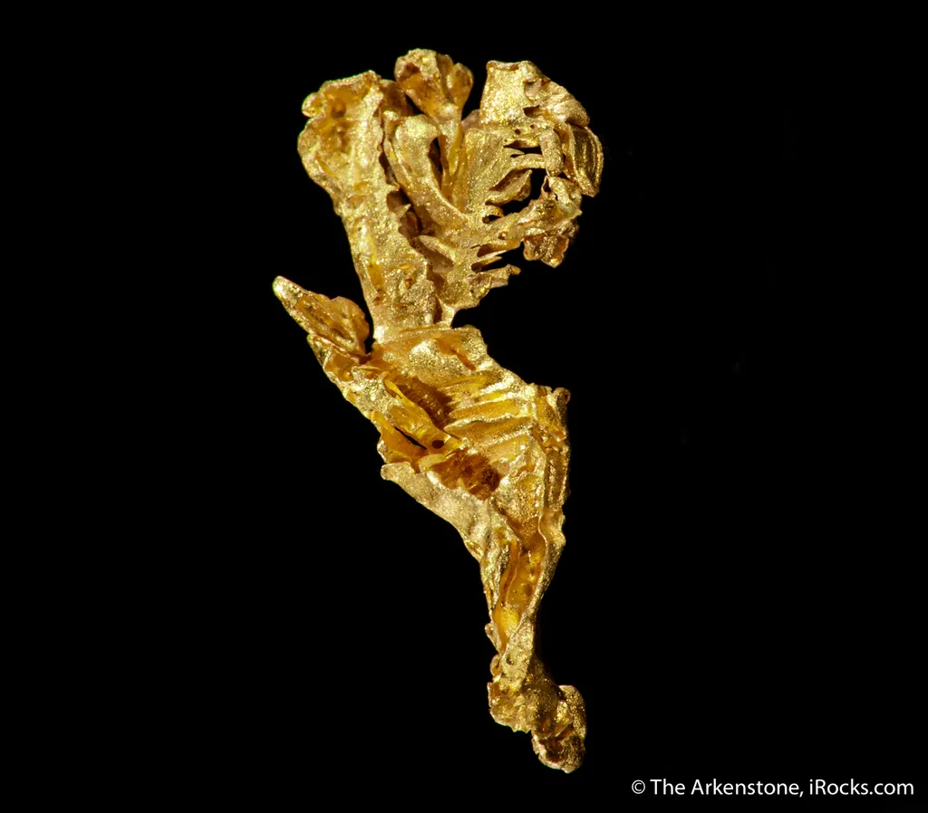 Gold - image 3