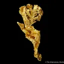 Gold - image 3