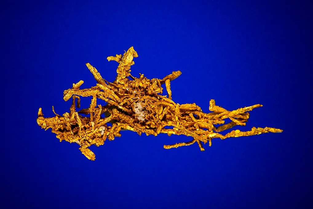 Gold image