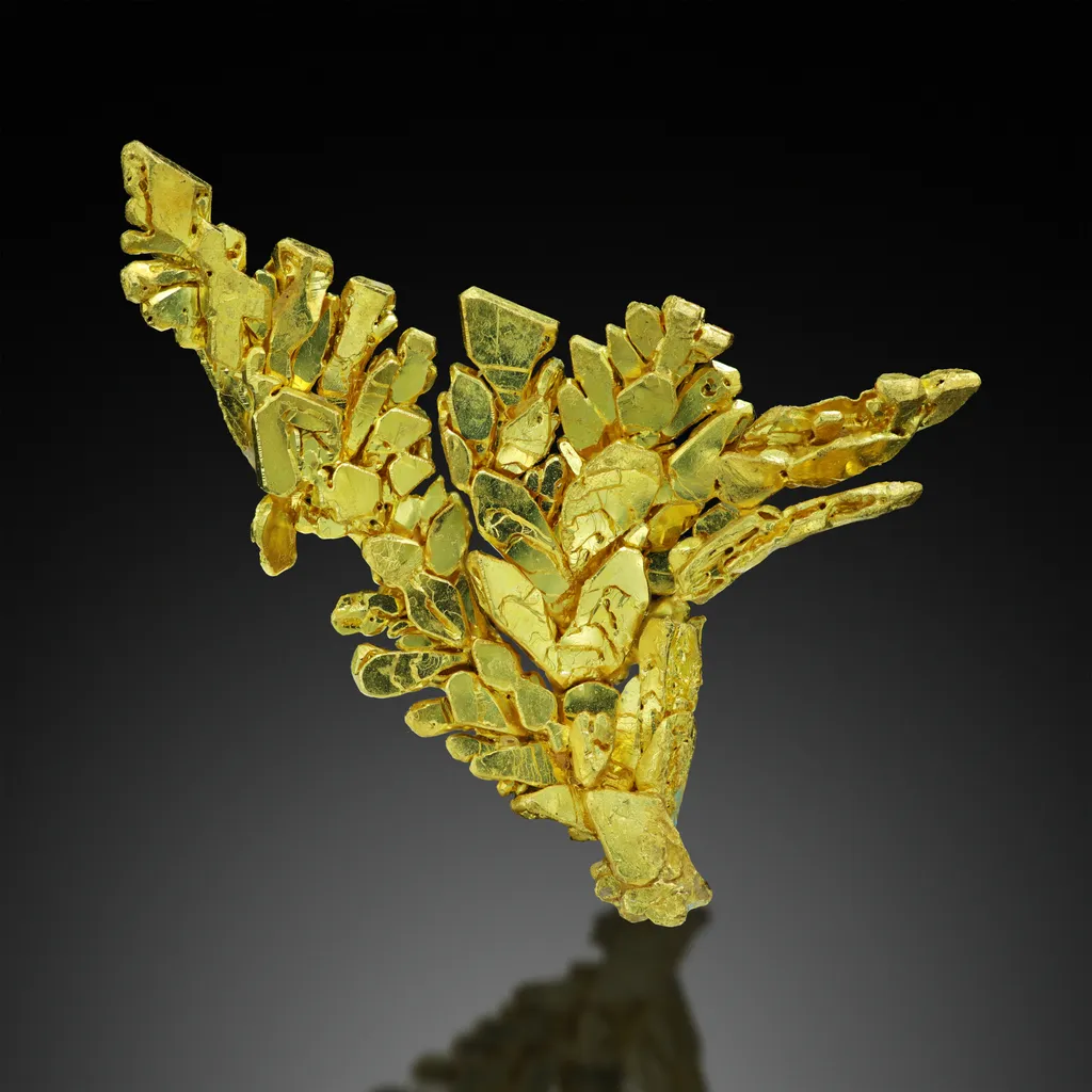 Gold image