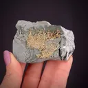 Gold - image 2