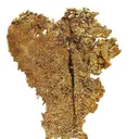 Gold - image 3