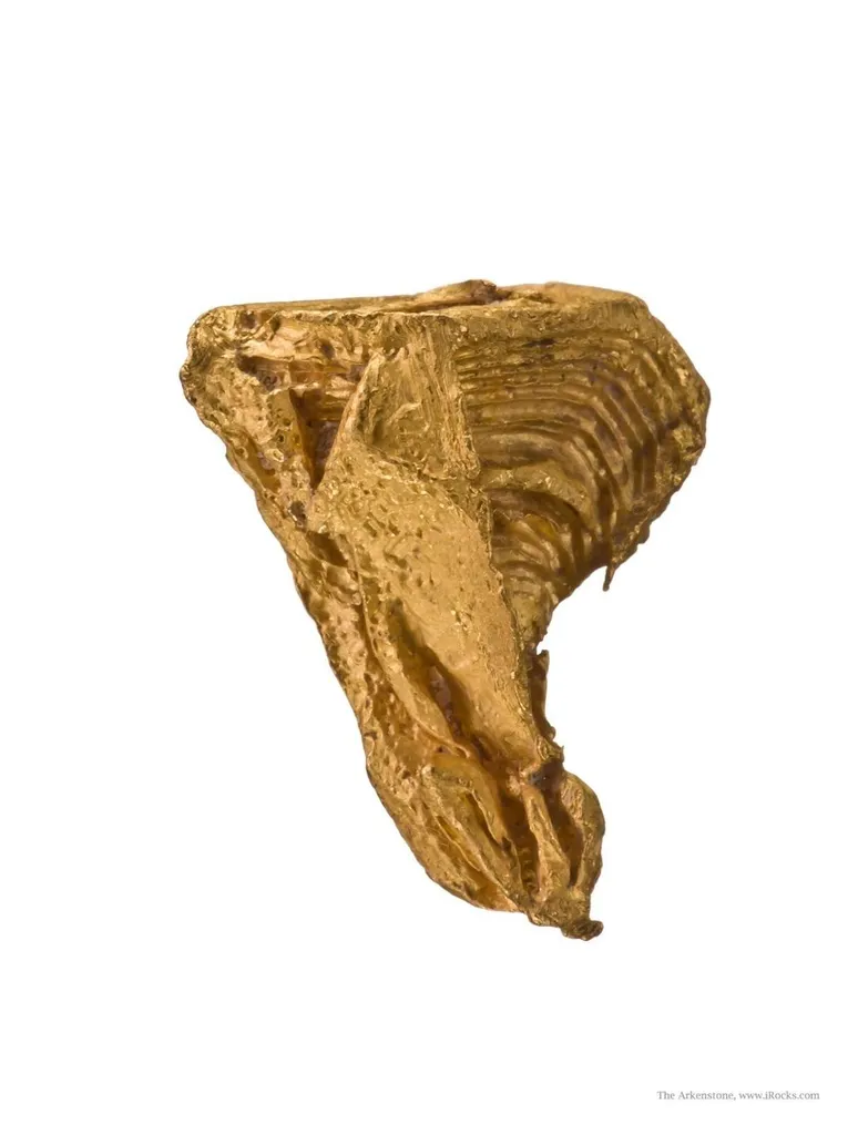 Gold - image 4