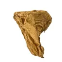 Gold - image 4