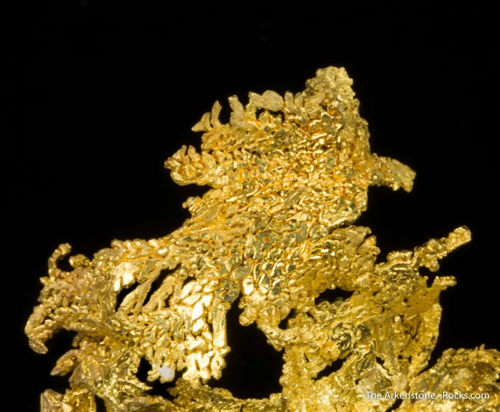 Gold - image 6