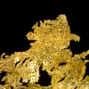 Gold - image 6