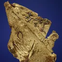 Gold - image 2