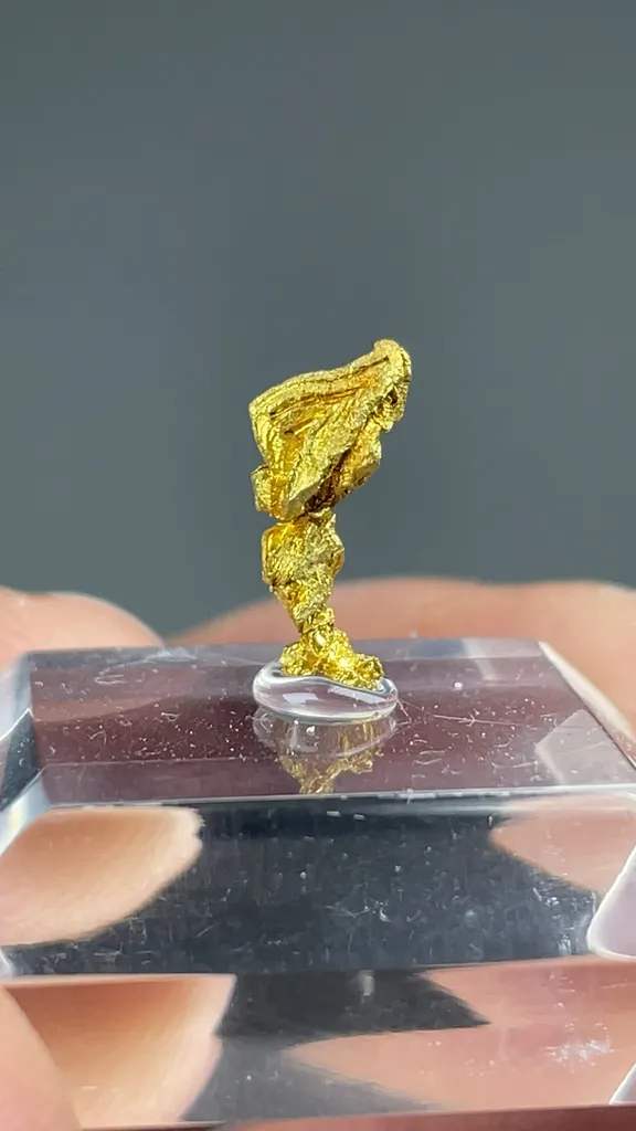 Gold - image 2