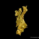 Gold - image 4
