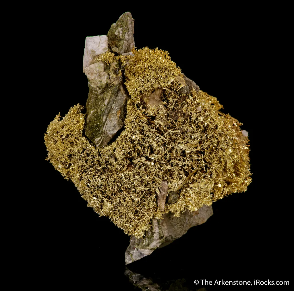 Gold - image 6