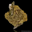 Gold - image 6