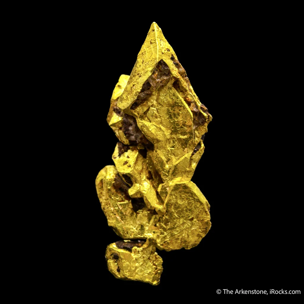 Gold - image 5