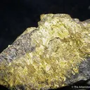 Gold - image 2