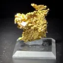Gold - image 2