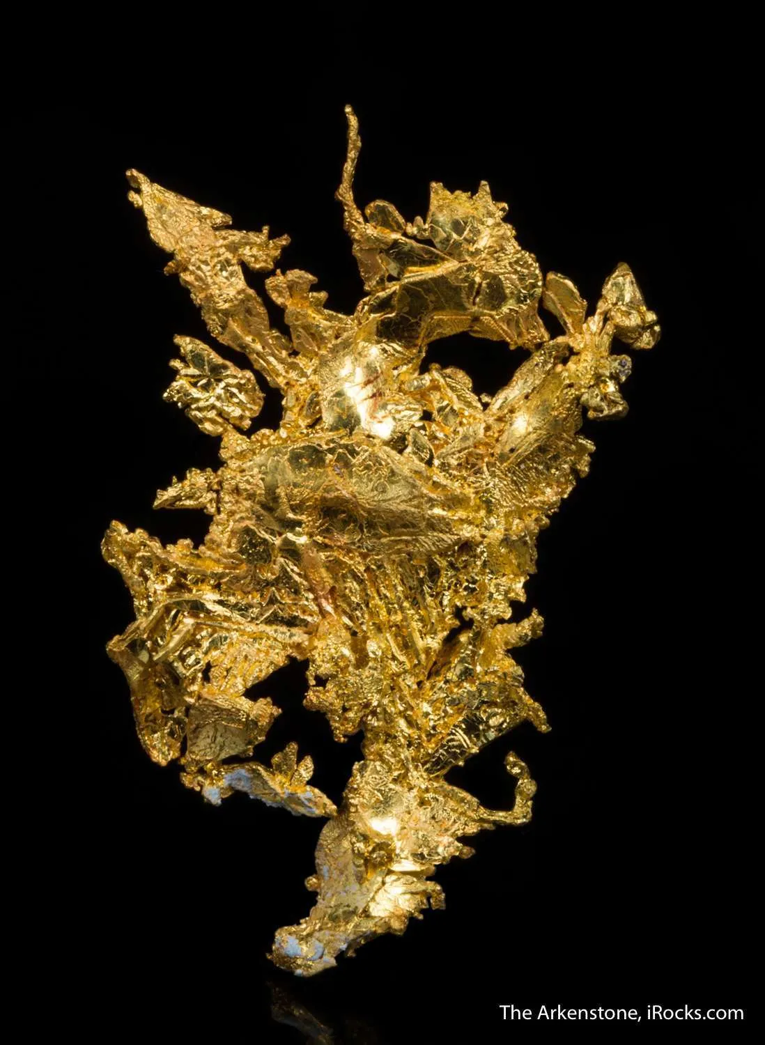 Gold - image 4