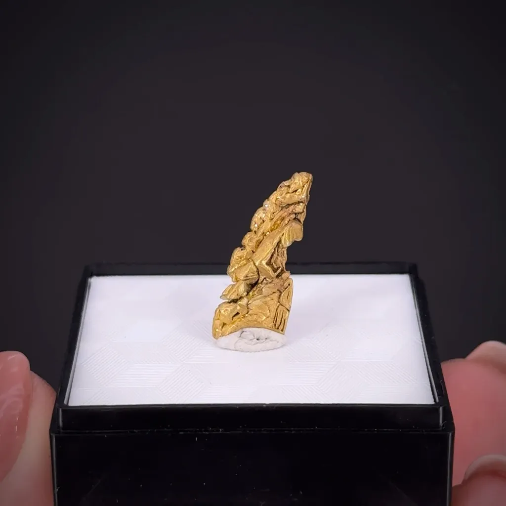Gold - image 2