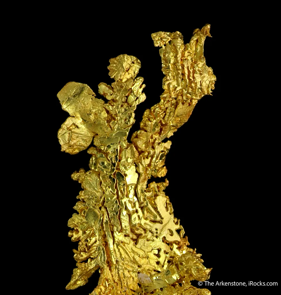Gold image