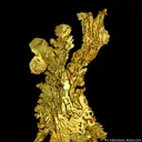 Gold - image 1