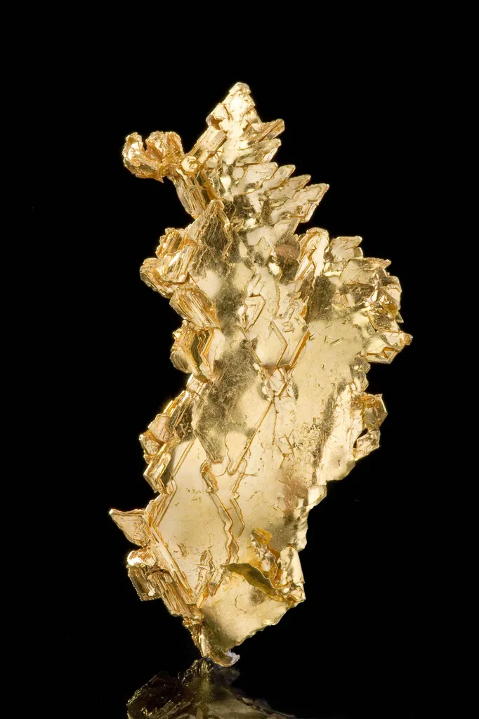 Gold - image 4