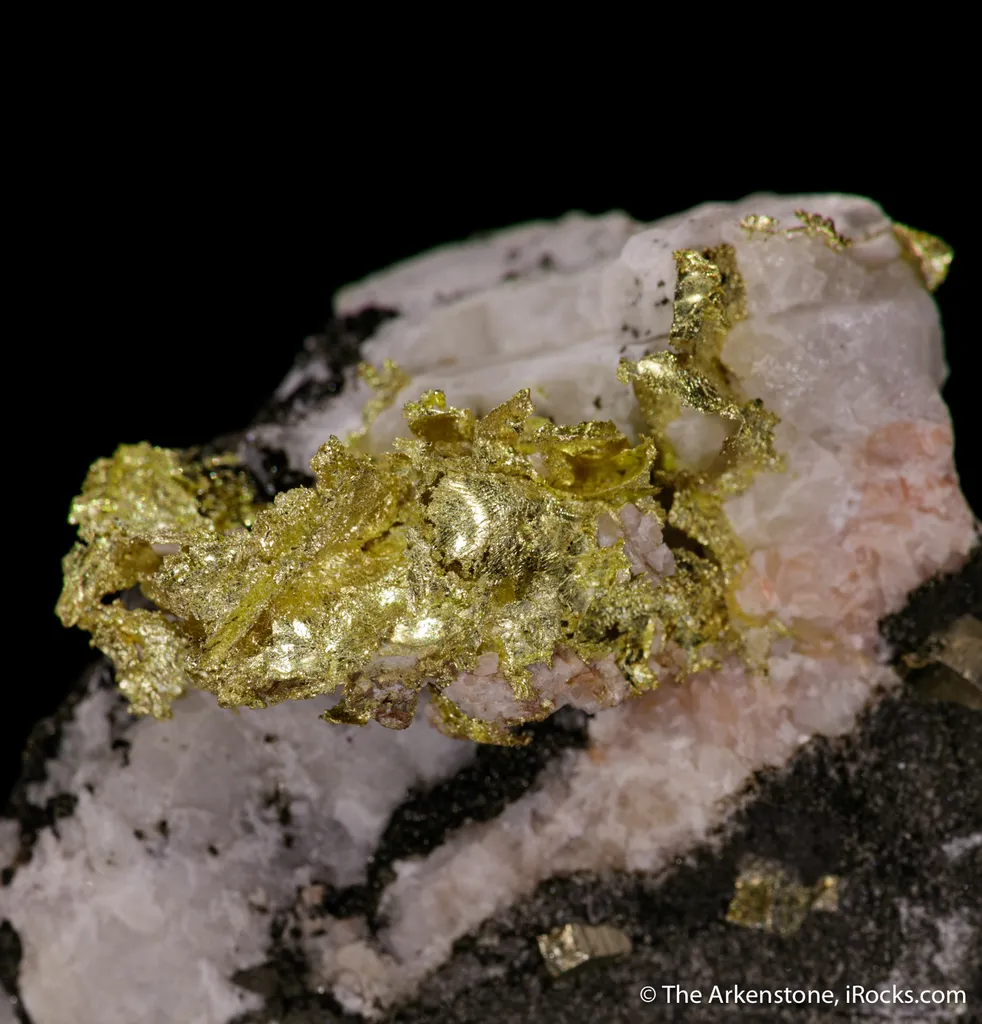 Gold - image 4
