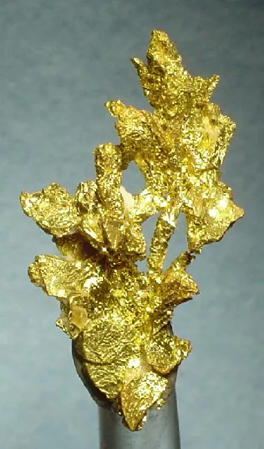 Gold image