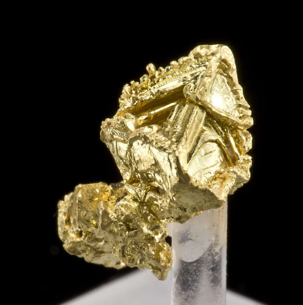 Gold - image 4
