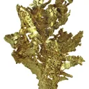 Gold - image 4
