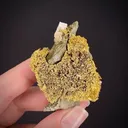 Gold - image 2