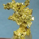 Gold - image 1