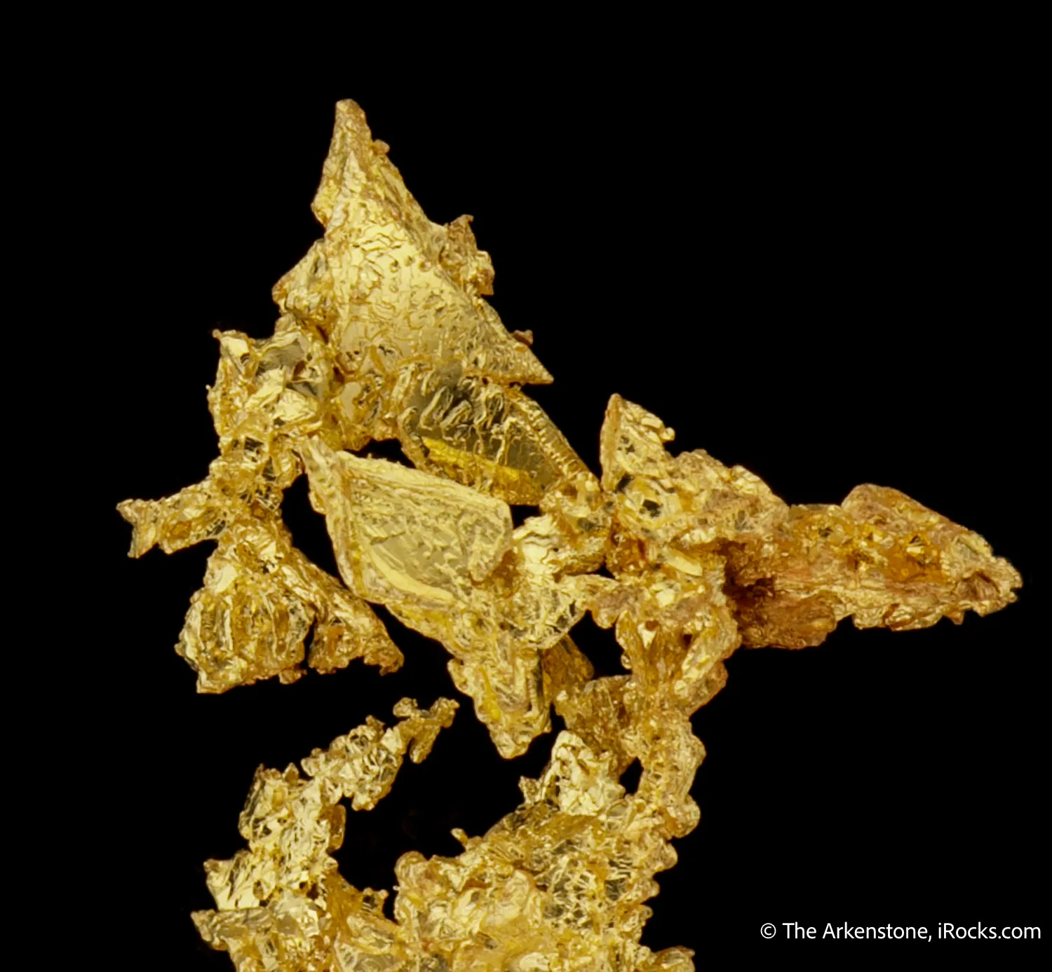 Gold - image 4