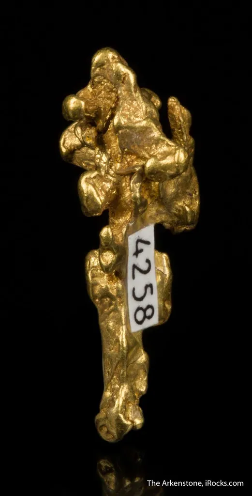Gold - image 5