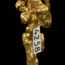 Gold - image 5