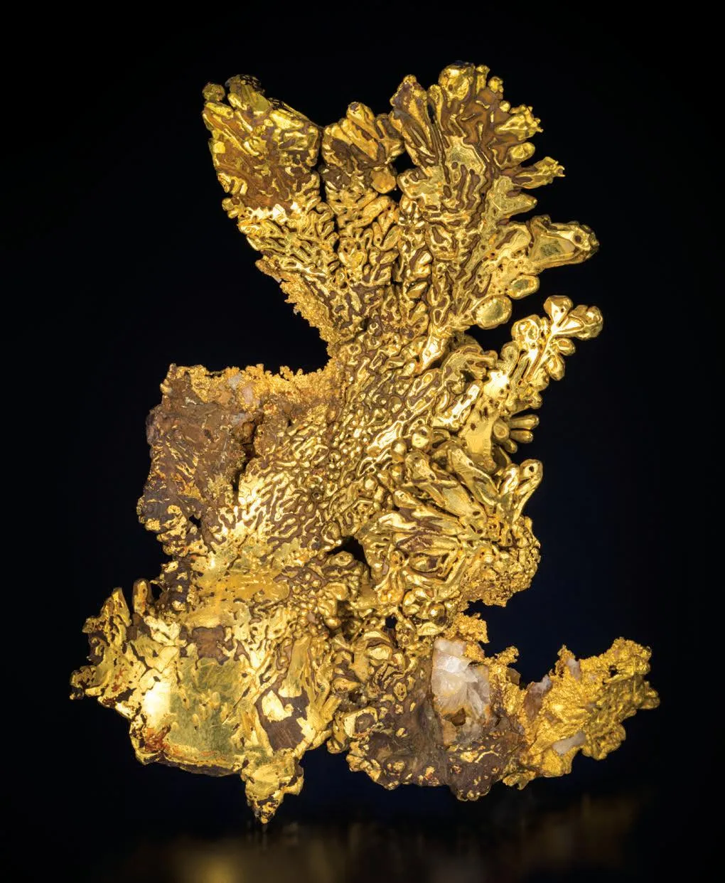 Gold - image 1