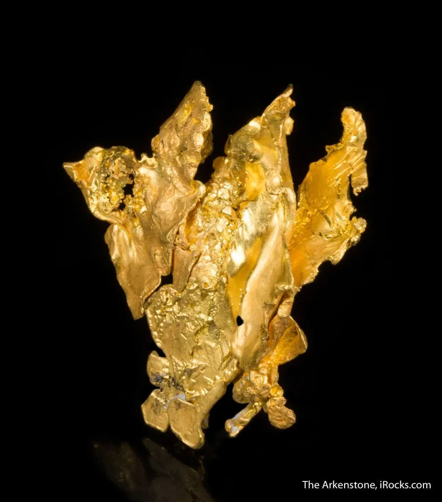Gold - image 4