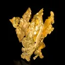 Gold - image 4