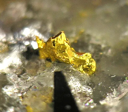 Gold image