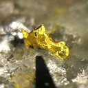 Gold - image 1