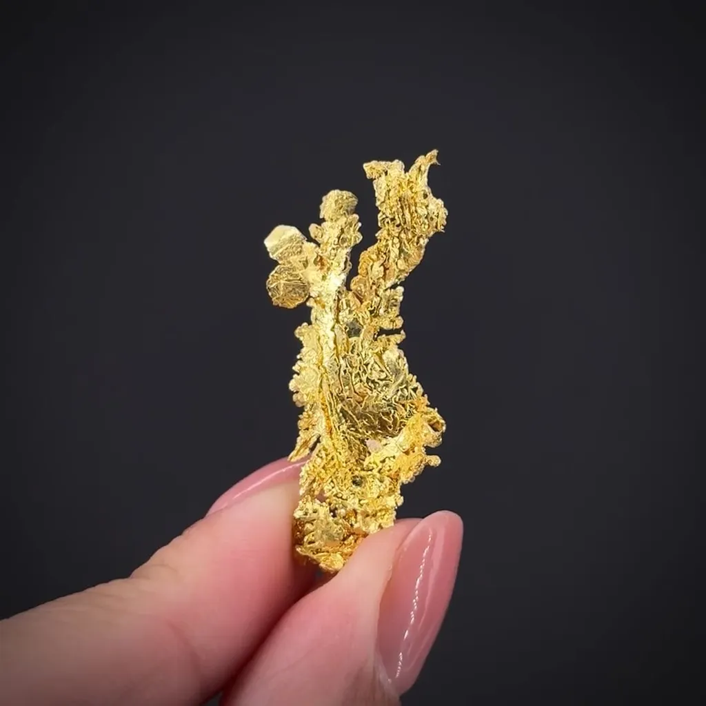 Gold - image 2