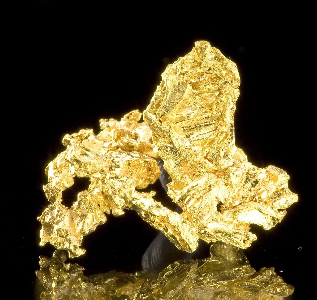 Gold - image 2