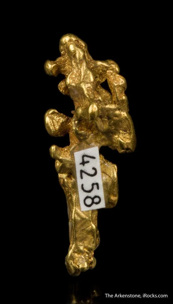 Gold - image 4