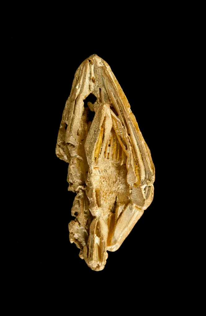 Gold image