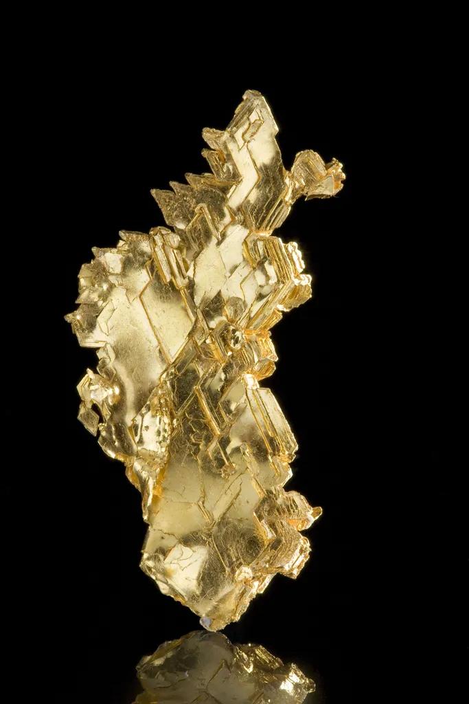 Gold - image 2