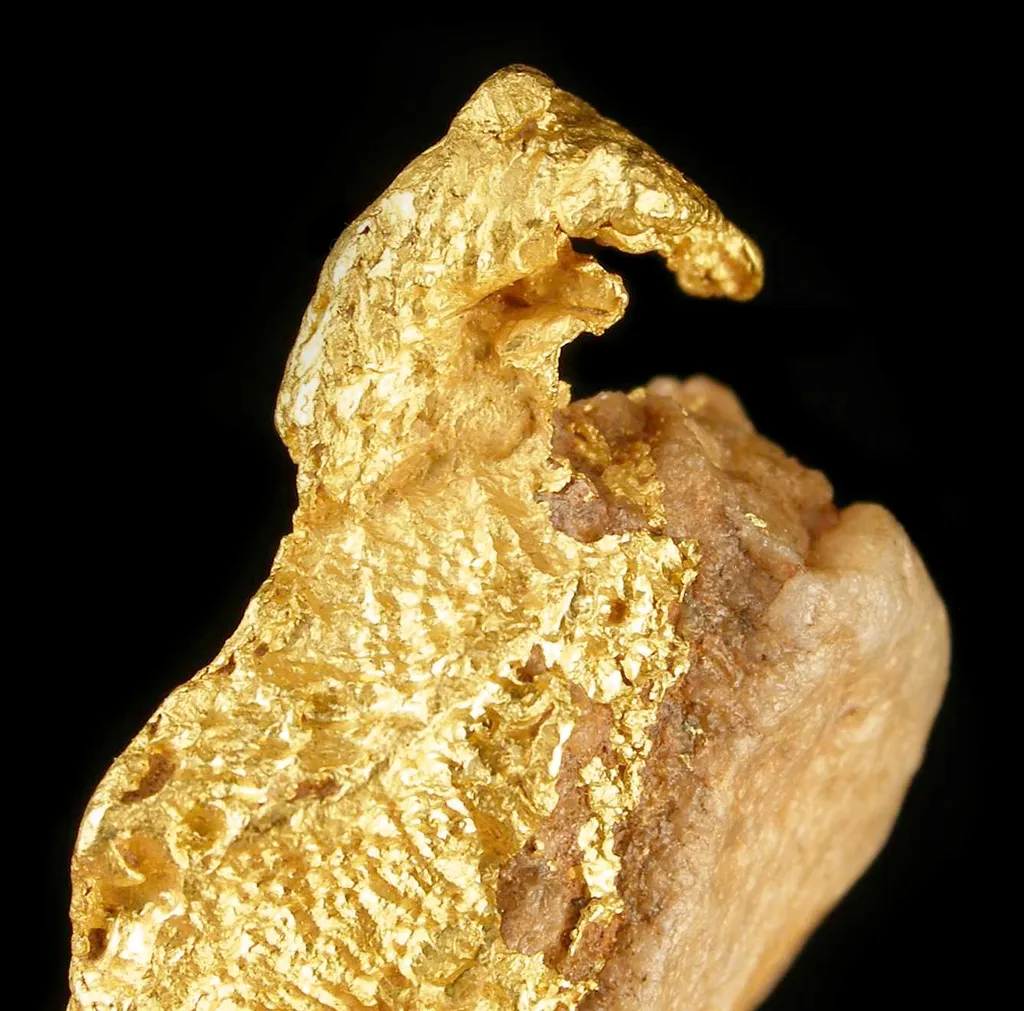 Gold - image 2