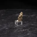 Gold - image 2
