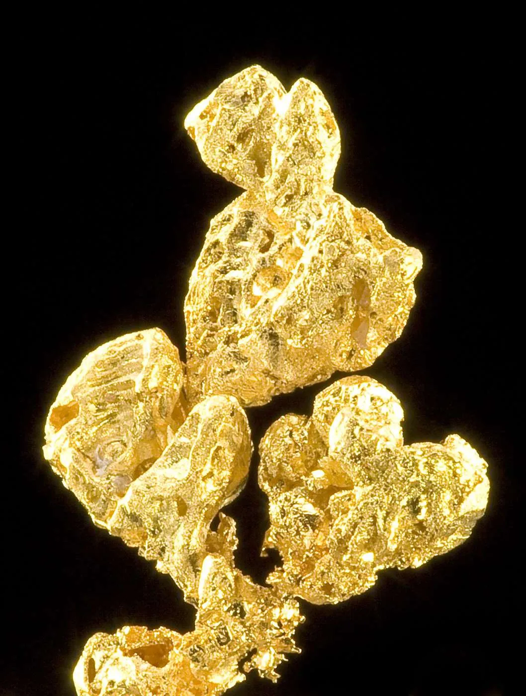 Gold - image 2